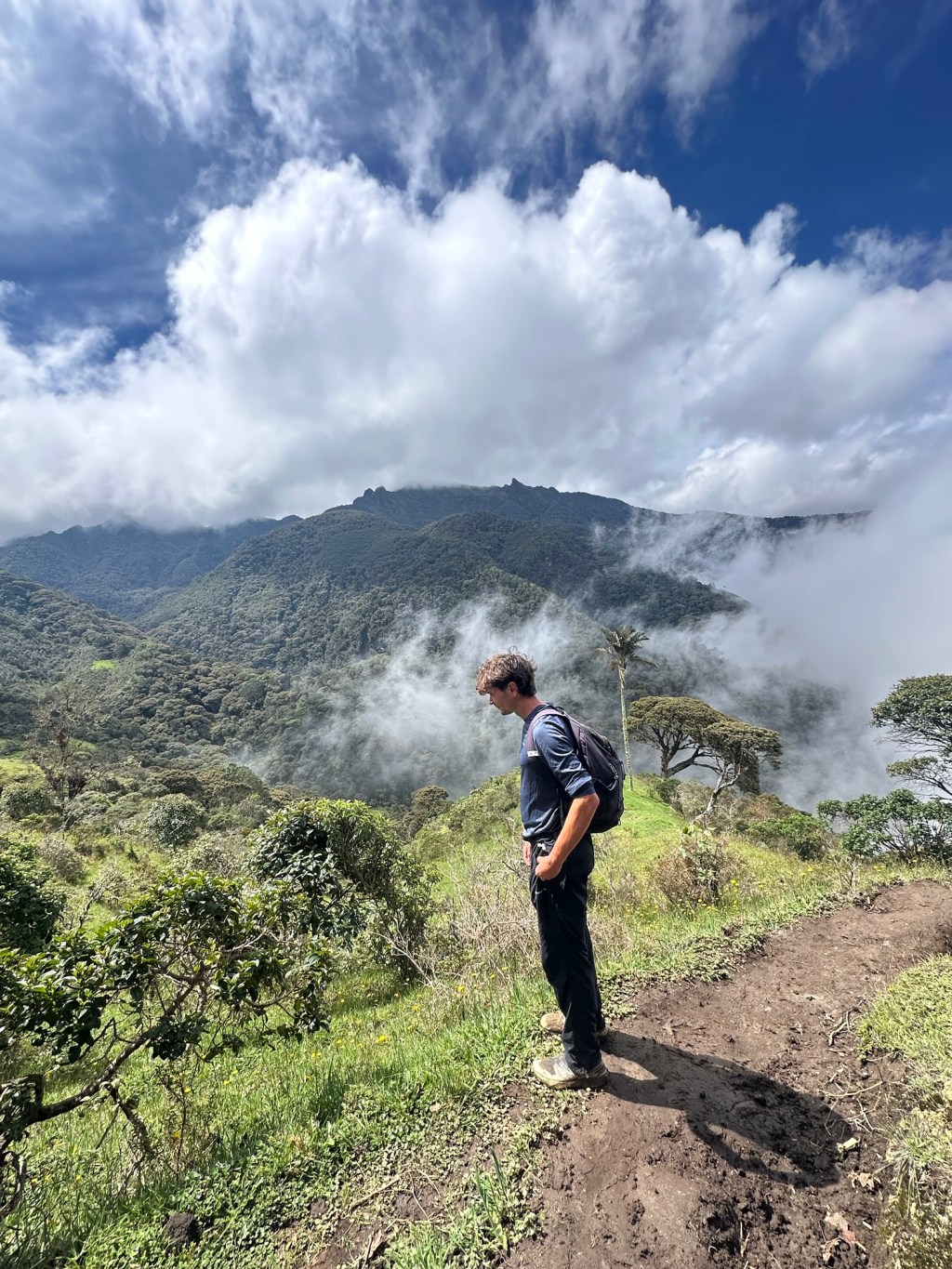 A wonderful hike in the Cocora Valley, Salento,&nbsp;Colombia